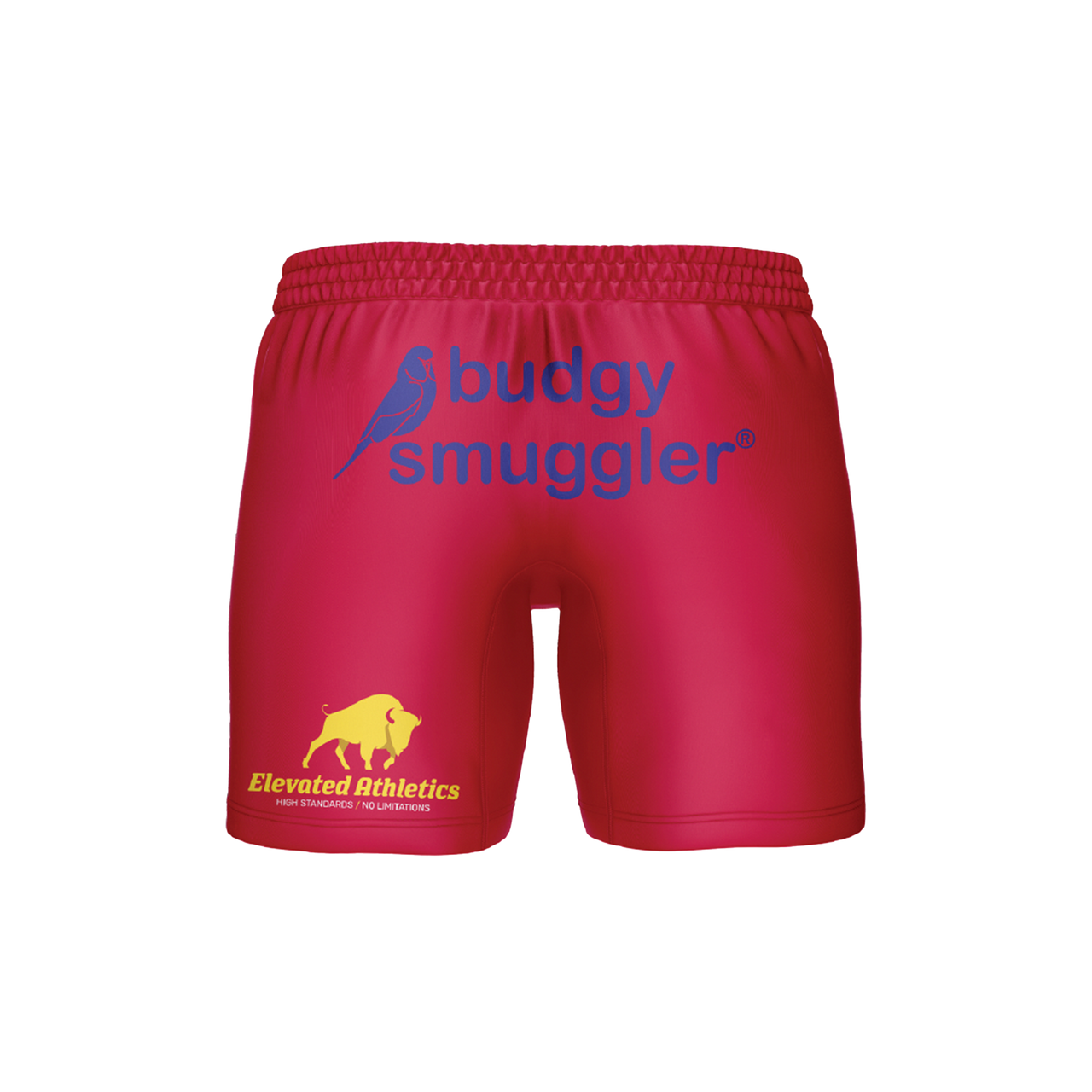 Saratoga Jockey's Gym Shorts