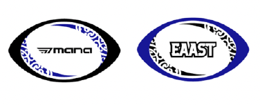 EAAST MINI RUGBY BALL