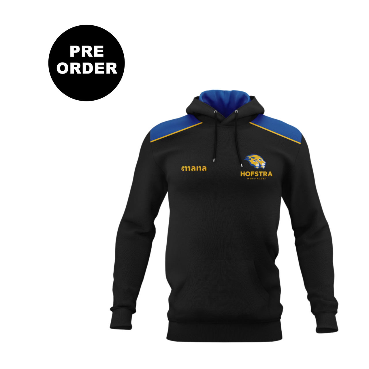 Hofstra University Pullover Hoodie