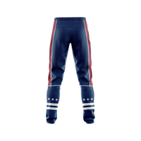 Thumbnail for Washington Renegades Summit Men's Warm Up Pants