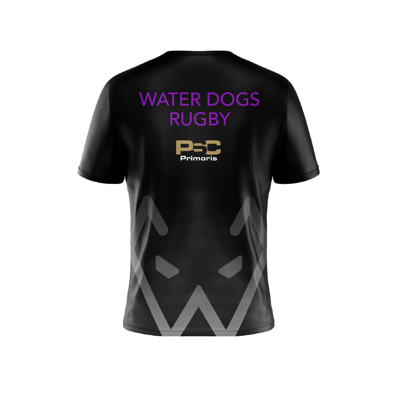 Denver Water Dogs Rugby Training T-Shirt